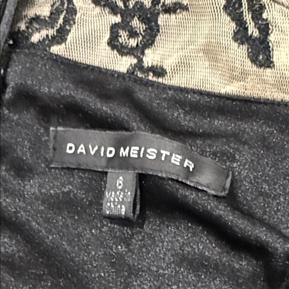 DAVID MEISTER Black Nude Sheer Embroidered Lace Illusion Yoke Sleeves Dress 6 - Picture 6 of 6